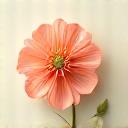 Icona di un fiore che sboccia, rappresenta il godimento della bellezza.